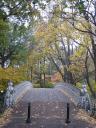 Bridge in Central Park, New York